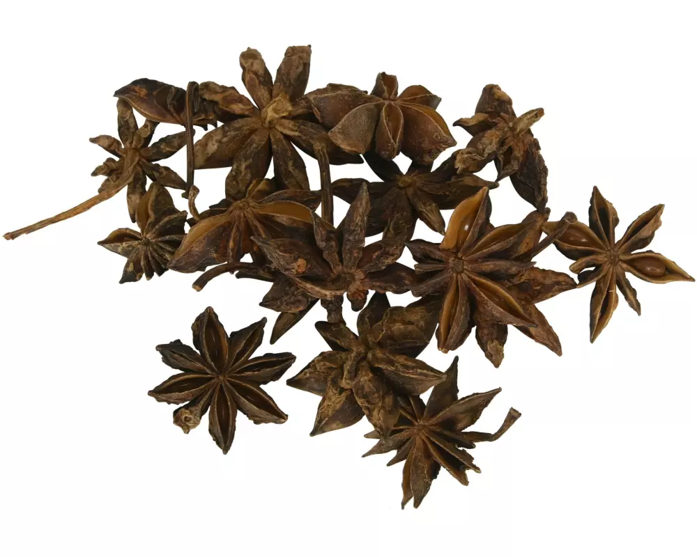 COCON Streudeko Sternanis