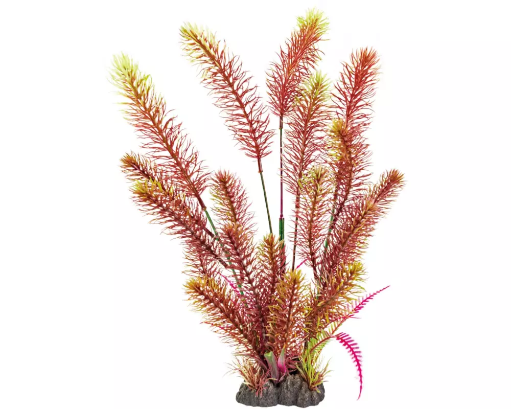 SuperFish Kunstpflanze Myriophyllum Red, 40 cm