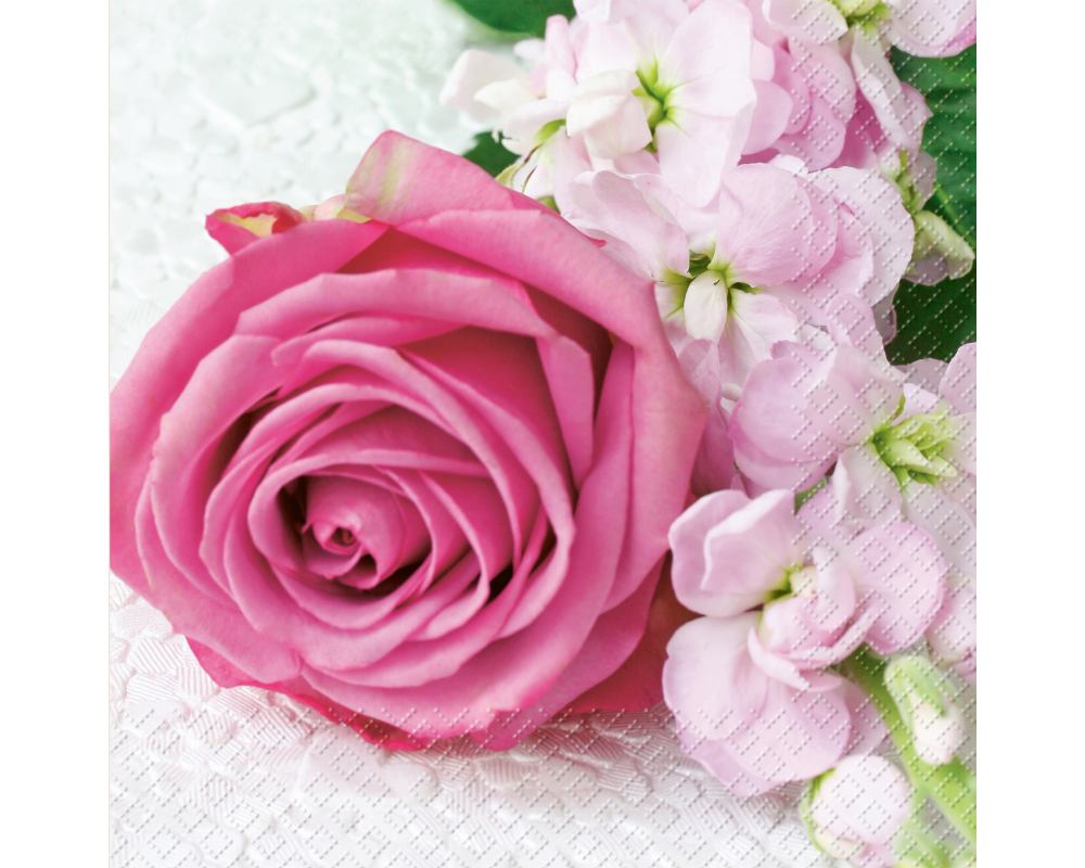 STEWO Serviette Vanessa 33x33cm 2572621128 pink 20 Stück