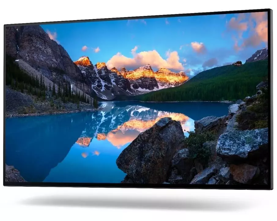 DELL Monitor U2422H ohne Standfuss