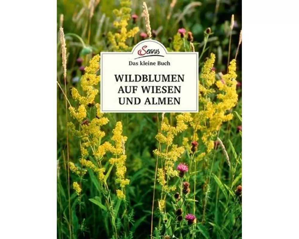 Das kleine Buch: Wildblumen auf Wiesen und Almen