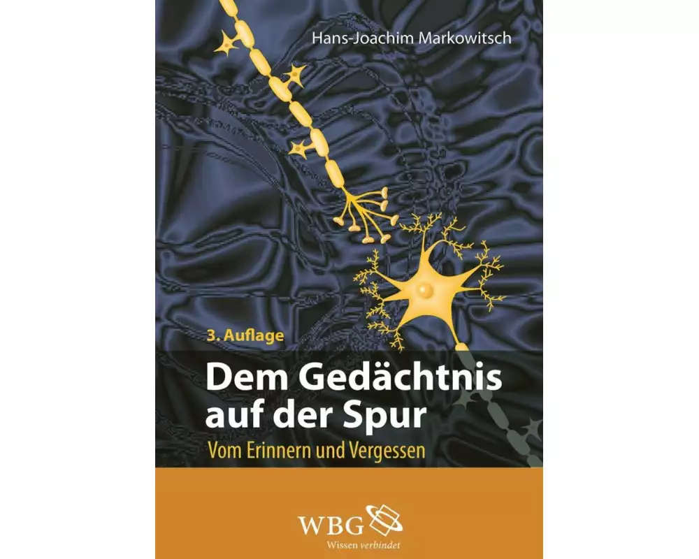 Dem Gedächtnis auf der Spur