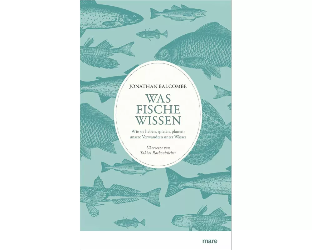 Was Fische wissen