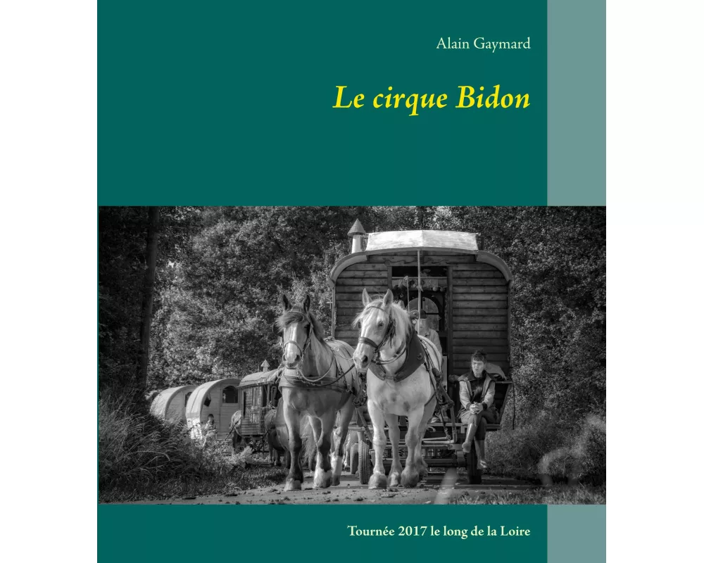 Le cirque Bidon 2017