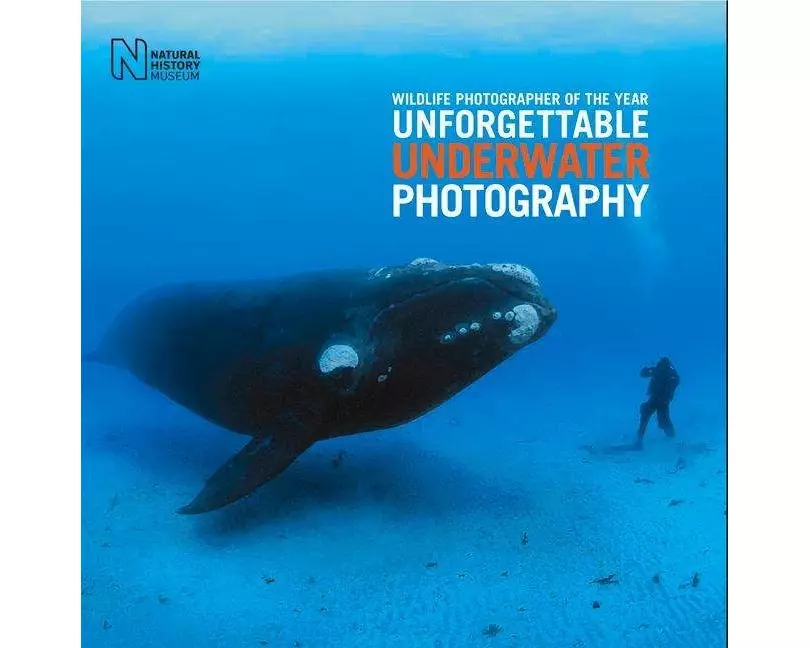 Wildlife Photographer of the Year: Unforgettable Underwater Photography