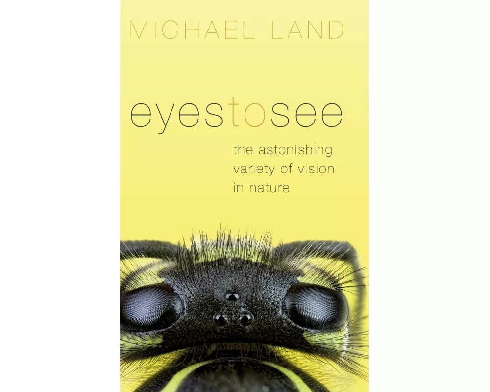 Eyes to See