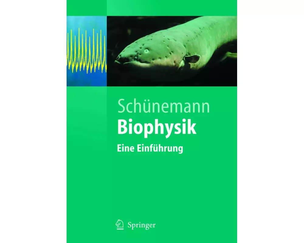 Biophysik