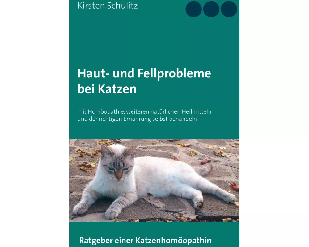 Haut- und Fellprobleme bei Katzen