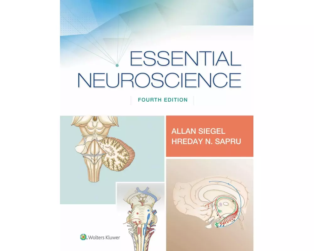Essential Neuroscience