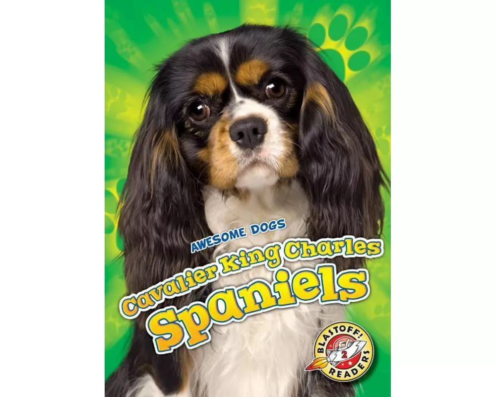 Cavalier King Charles Spaniels