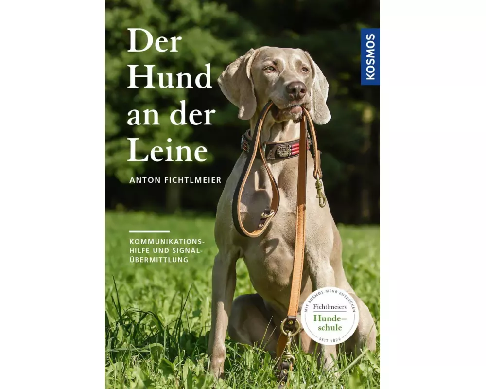 Der Hund an der Leine