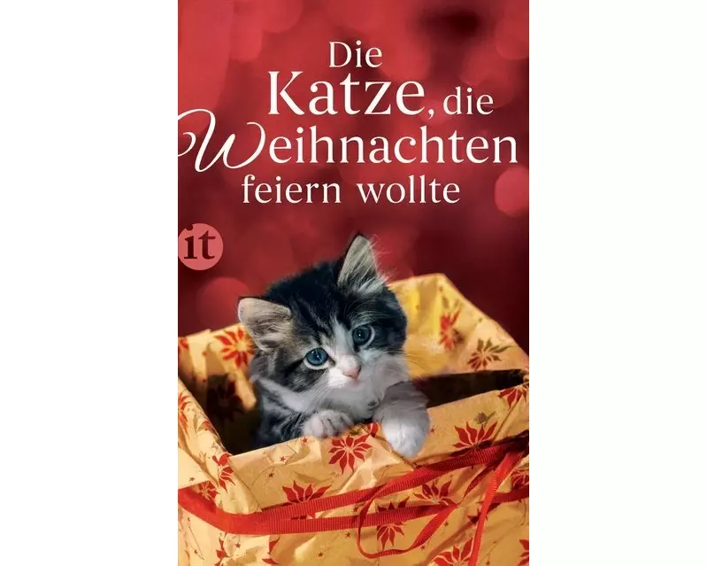Die Katze, die Weihnachten feiern wollte