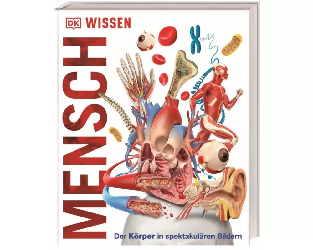DK Wissen. Mensch