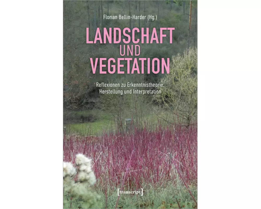 Landschaft und Vegetation