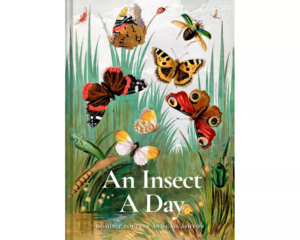An Insect A Day: Volume 6