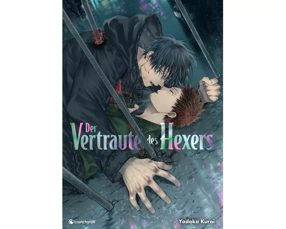 Der Vertraute des Hexers