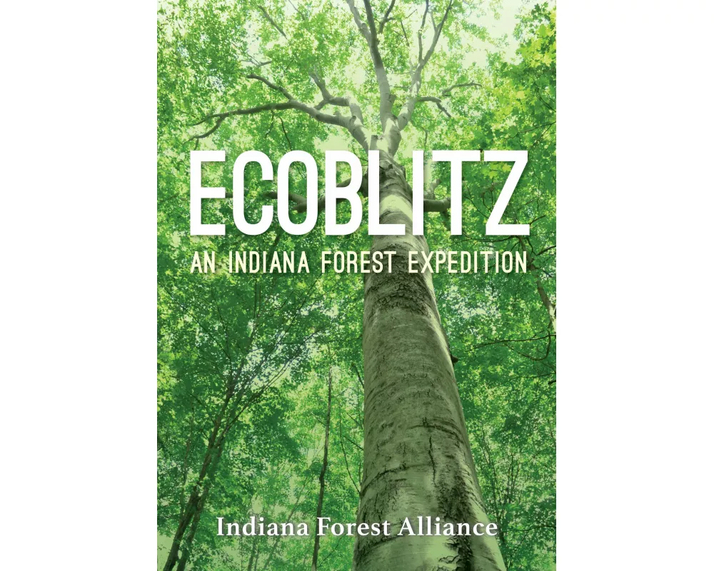 Ecoblitz