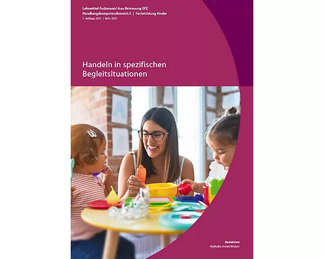 Handeln in spezifischen Begleitsituationen