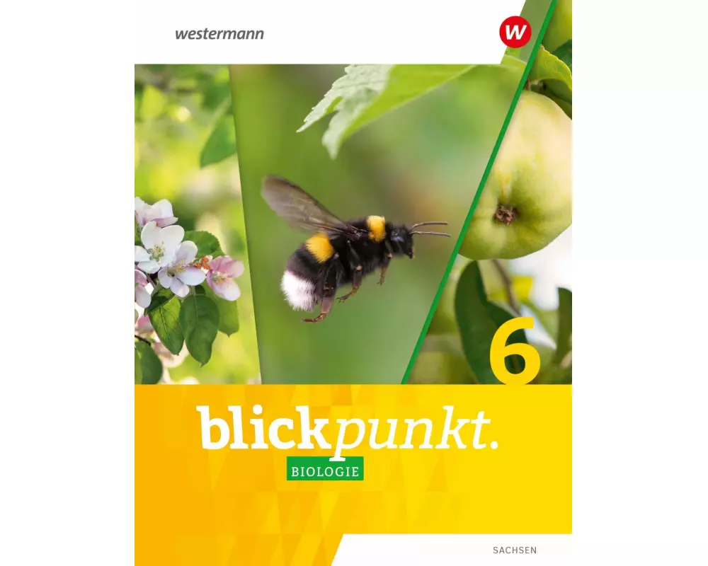 Blickpunkt Biologie 6. Schulbuch. Für Sachsen