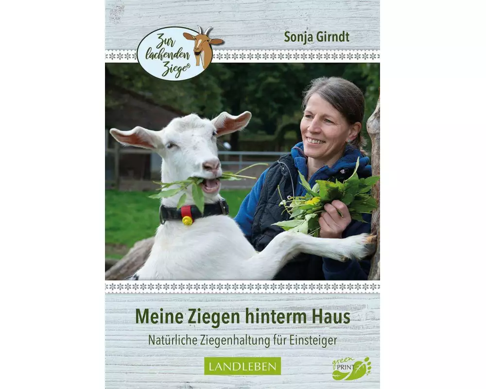Meine Ziegen hinterm Haus