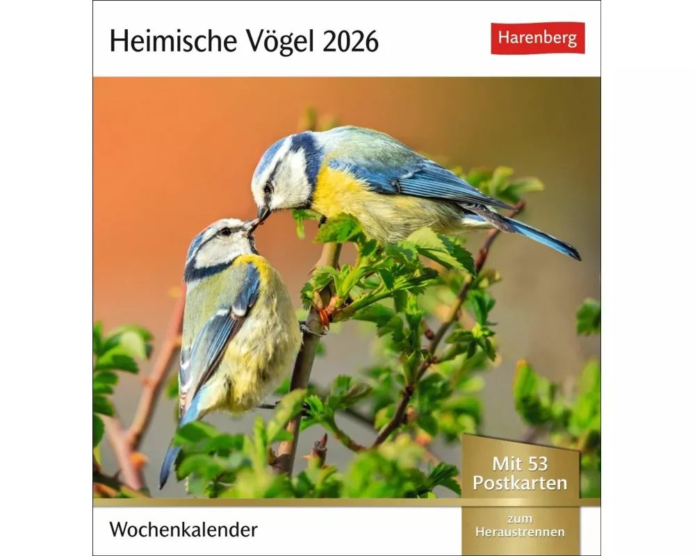 Heimische Vögel Postkartenkalender 2026 - Wochenkalender mit 53 Postkarten