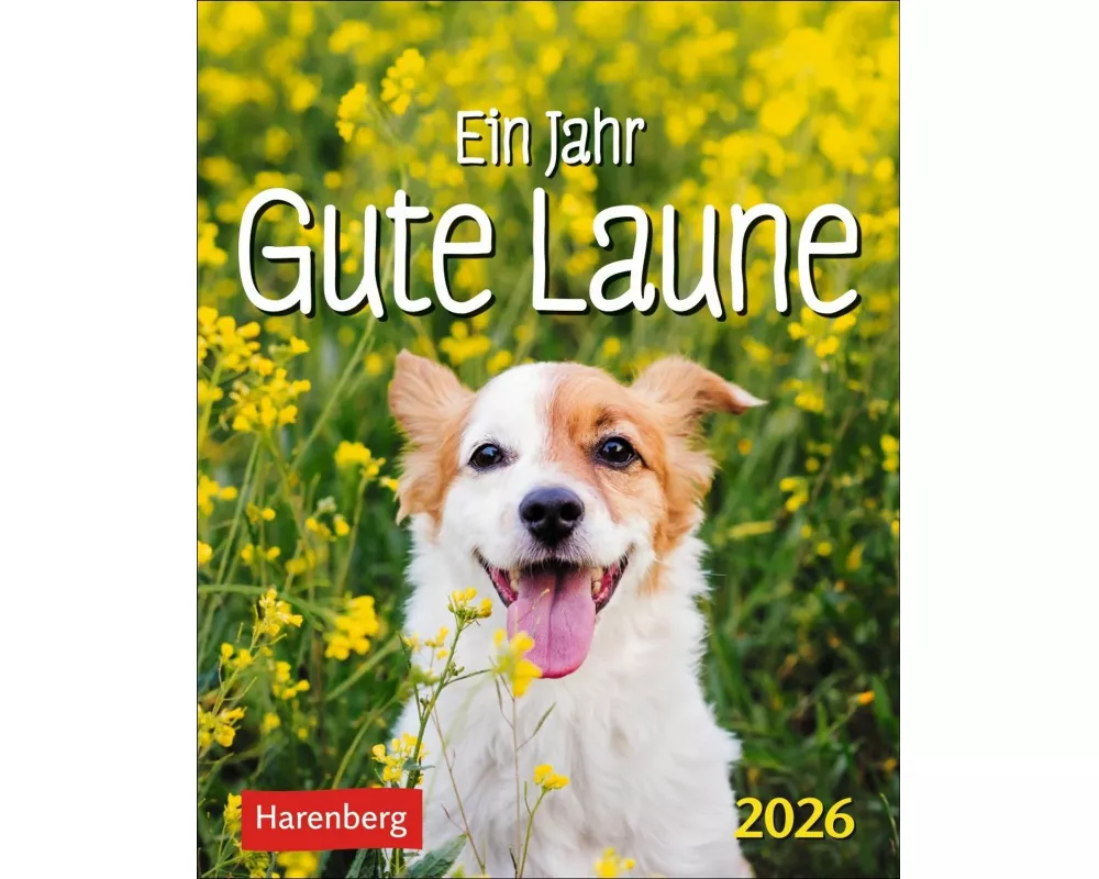 Ein Jahr gute Laune Mini-Geschenkkalender 2026