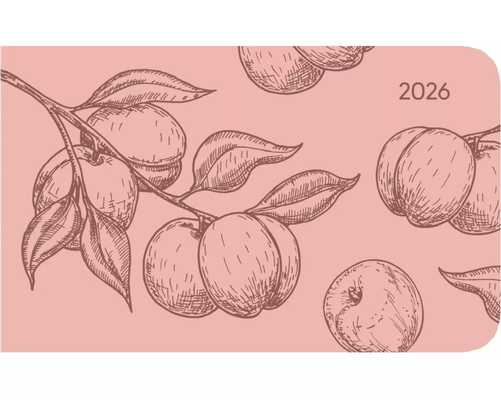 Alpha Edition - Ladytimer TO GO Deluxe Salmon 2026 – Taschenkalender 15x9 cm – Weekly – hochwertiger Planer mit Tucson-Einband & Motivprägung – 128 Se