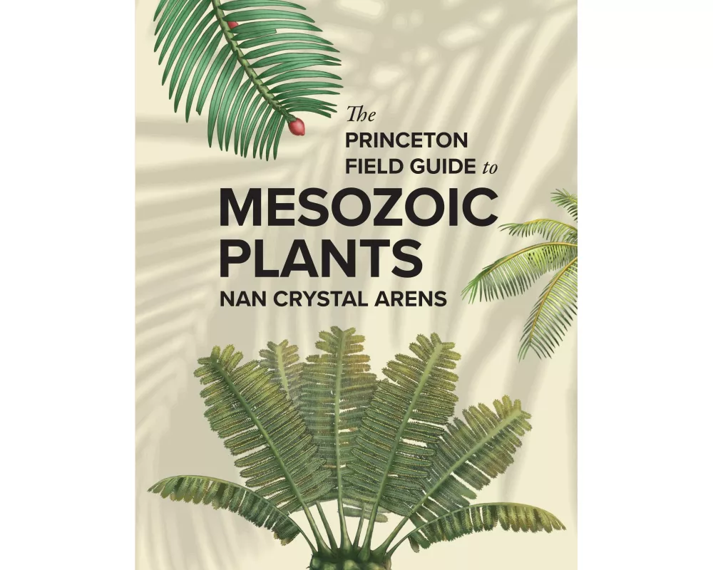 The Princeton Field Guide to Mesozoic Plants