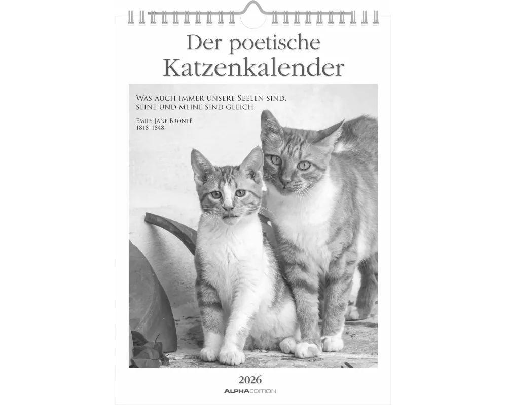 Alpha Edition - Der Poetischer Katzenkalender 2026 – Wochenkalender 21×30 cm mit 53 Katzenmotiven & Zitaten, inspirierender Wandkalender für Katzenlie