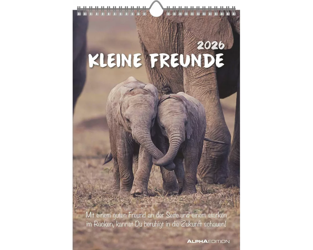 Alpha Edition - Kleine Freunde Kalender 2026 – Wandkalender 23,7×34 cm mit Tiermotiven & Sprüchen, Platz für Notizen, dekorativer Bildkalender mit Zus