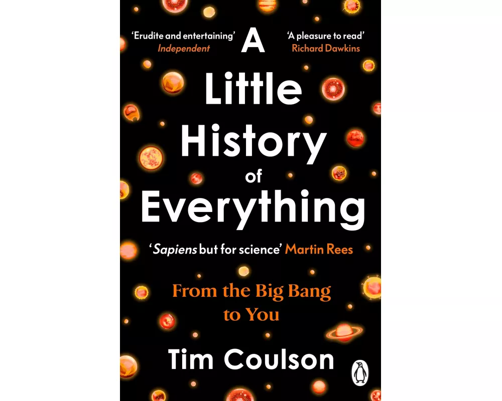 A Little History of Everything