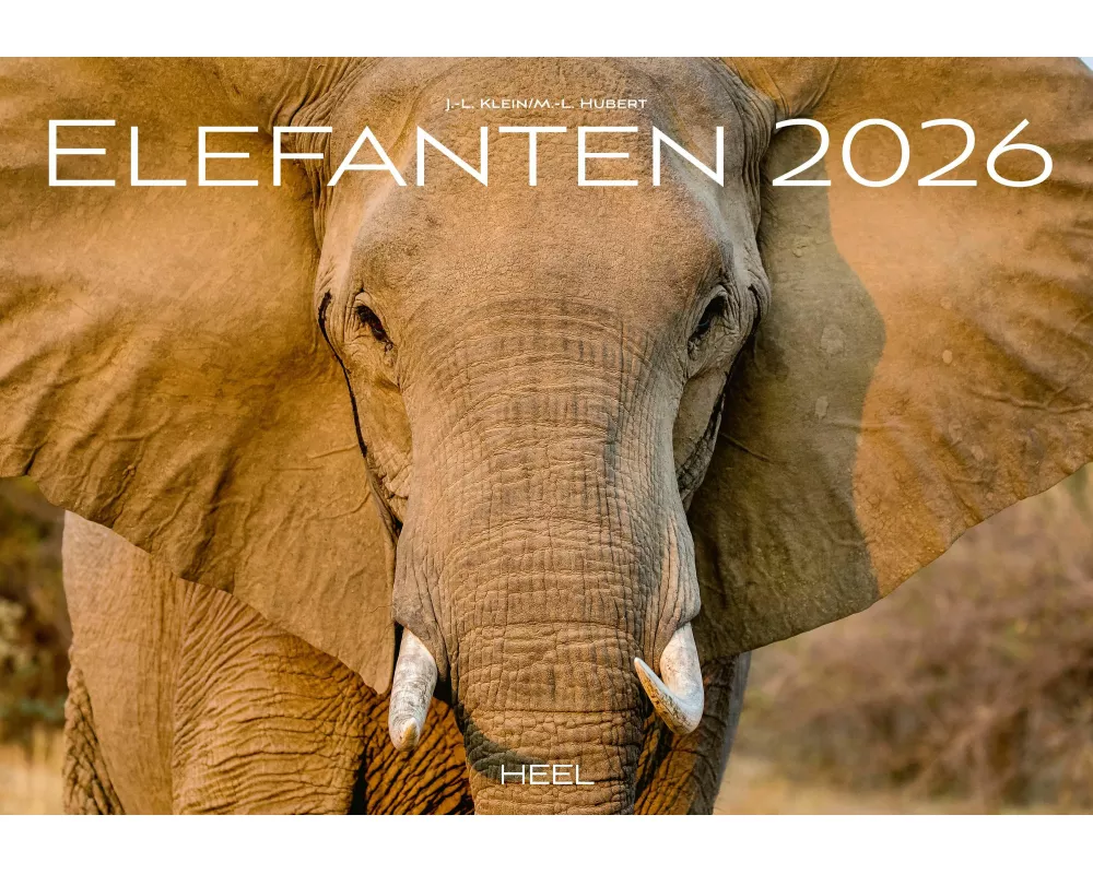 Elefanten Kalender 2026