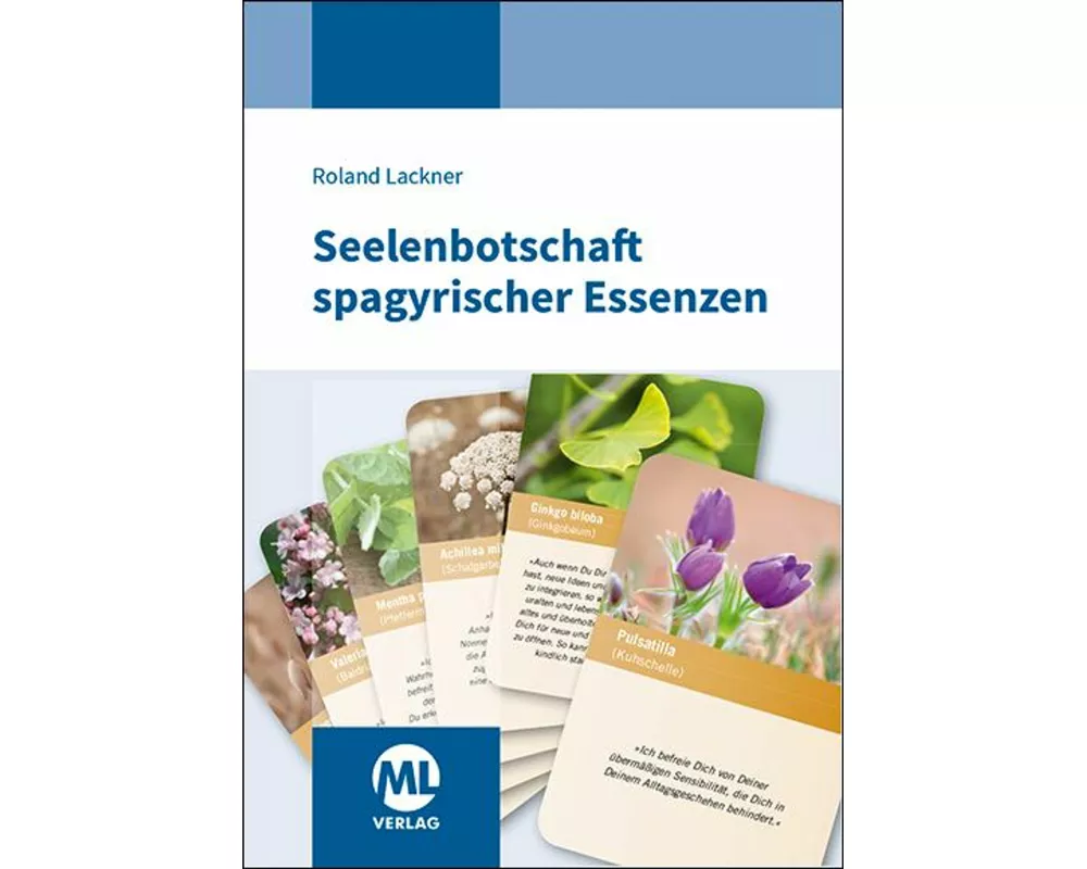 Seelenbotschaft spagyrischer Essenzen - Kartenset