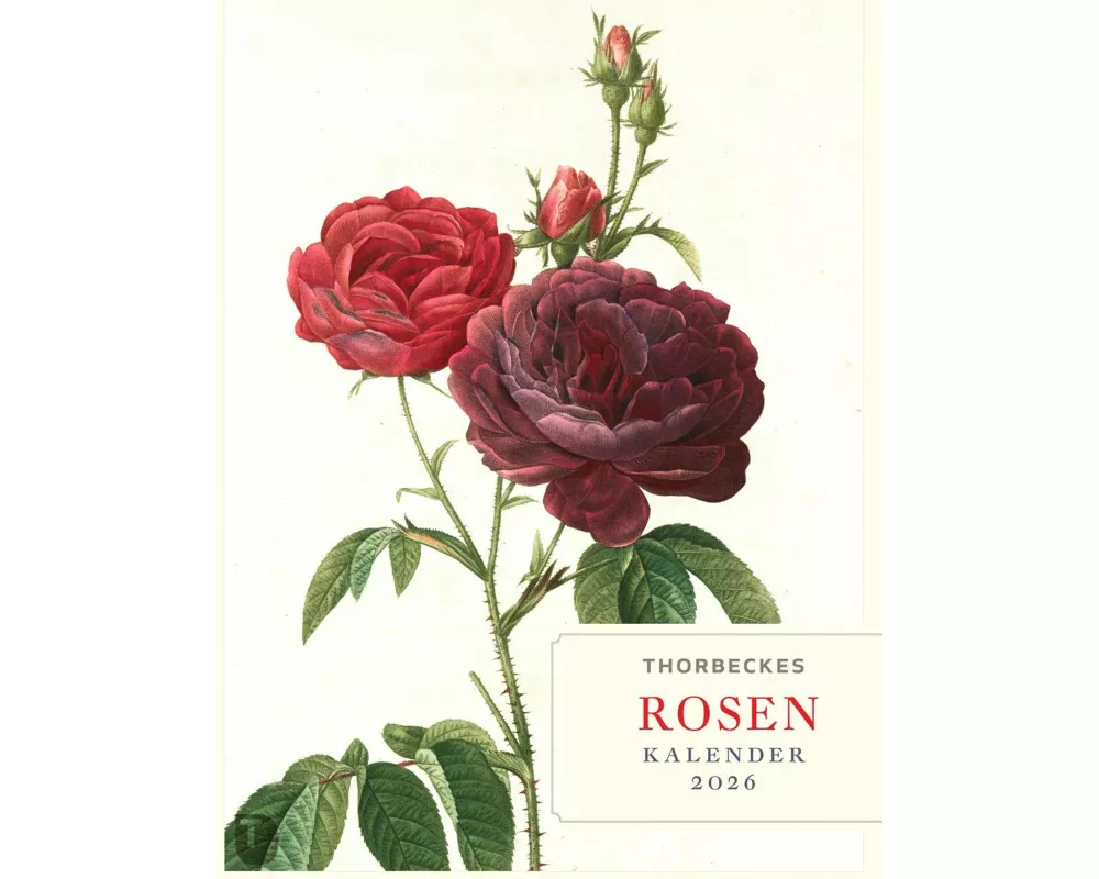 Thorbeckes Rosen-Kalender 2026