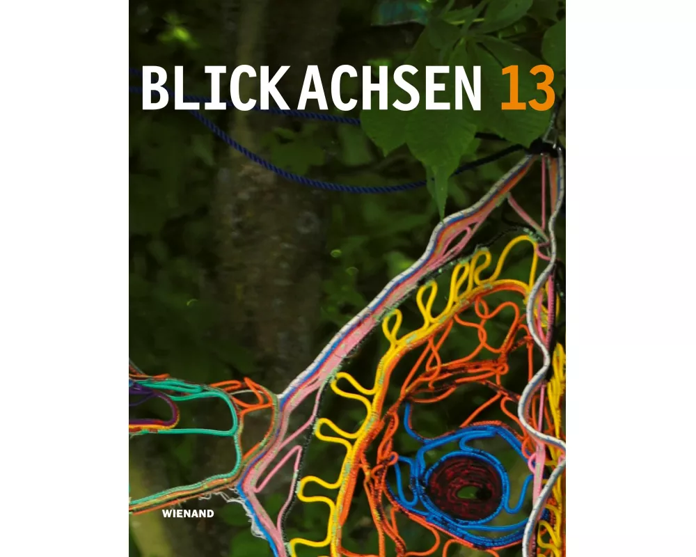 Blickachsen 13