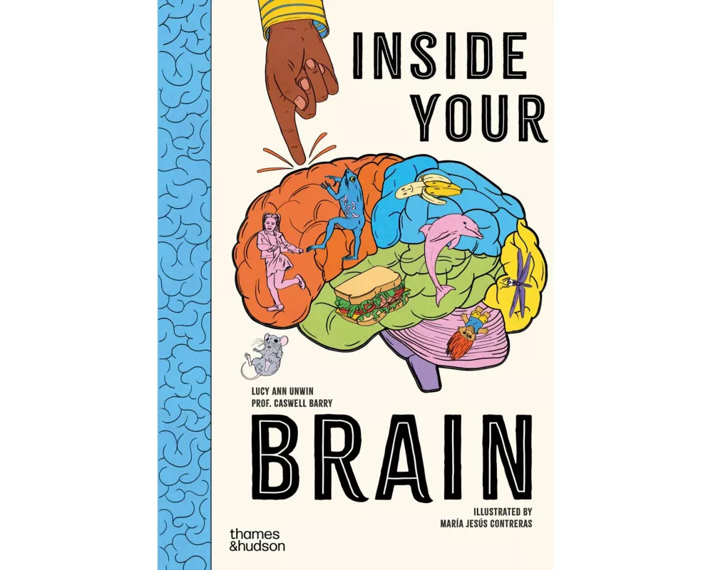 Inside Your Brain