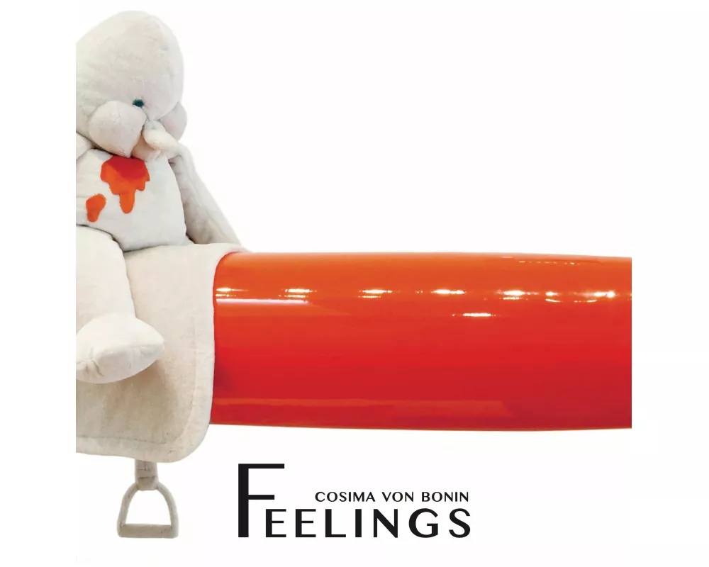 Cosima von Bonin. feelings