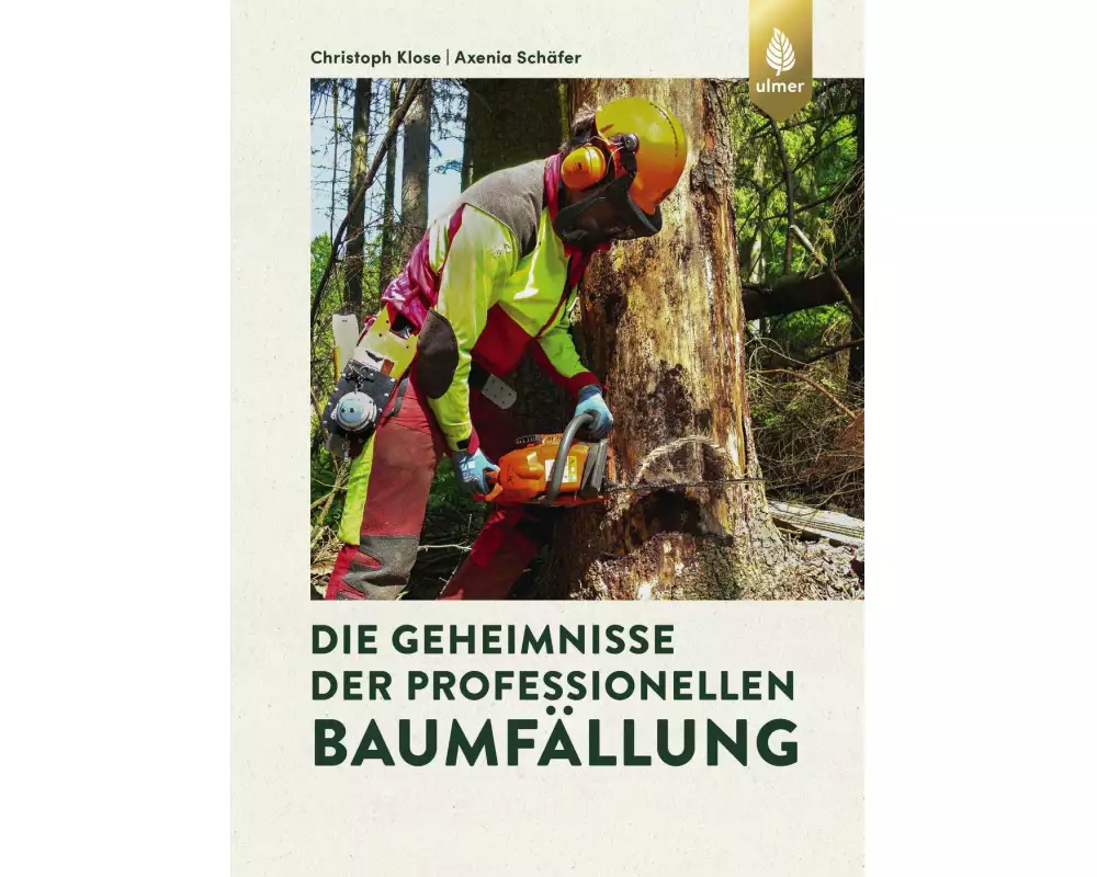 Die Geheimnisse der professionellen Baumfällung