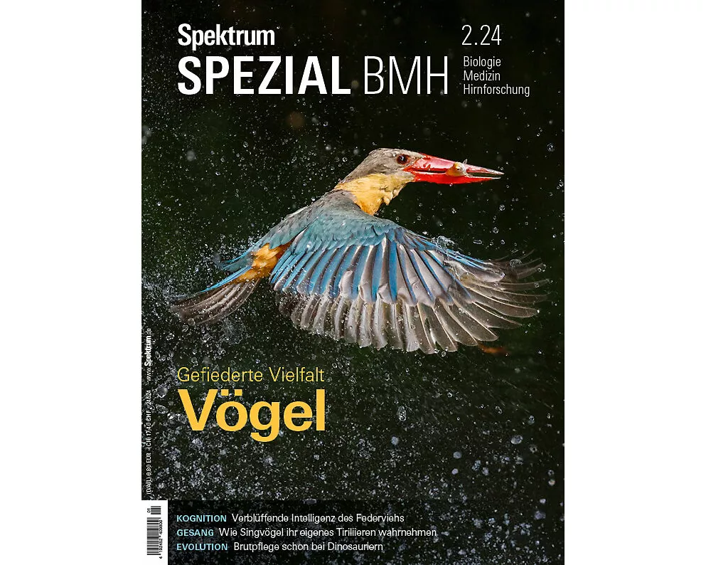 Spektrum Spezial BMH 2/2024 - Vögel