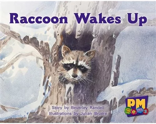 Raccoon Wakes up