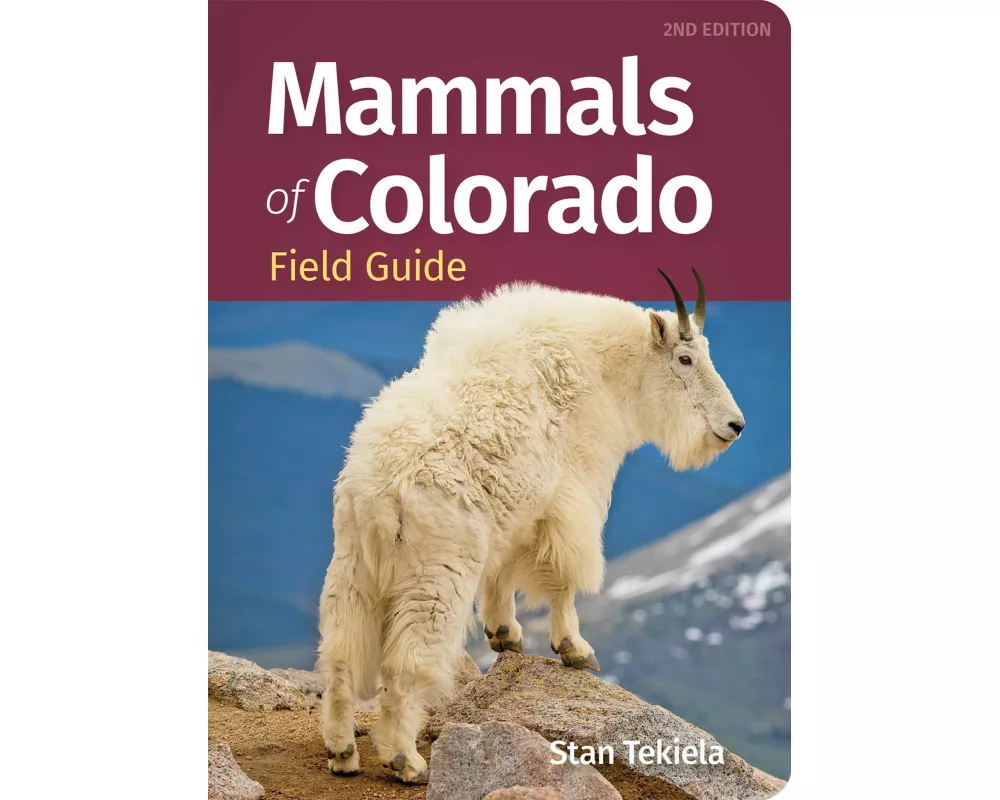 Mammals of Colorado Field Guide