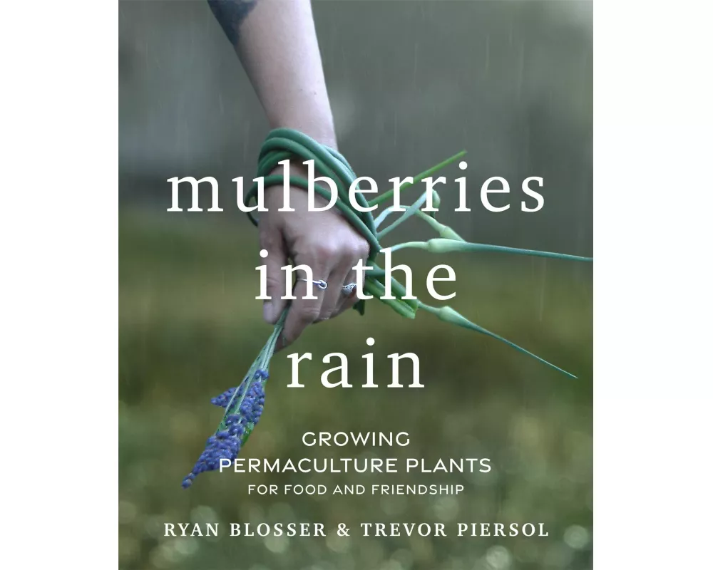 Mulberries in the Rain