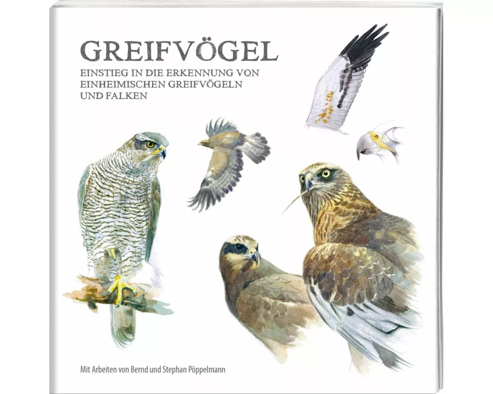 Greifvögel