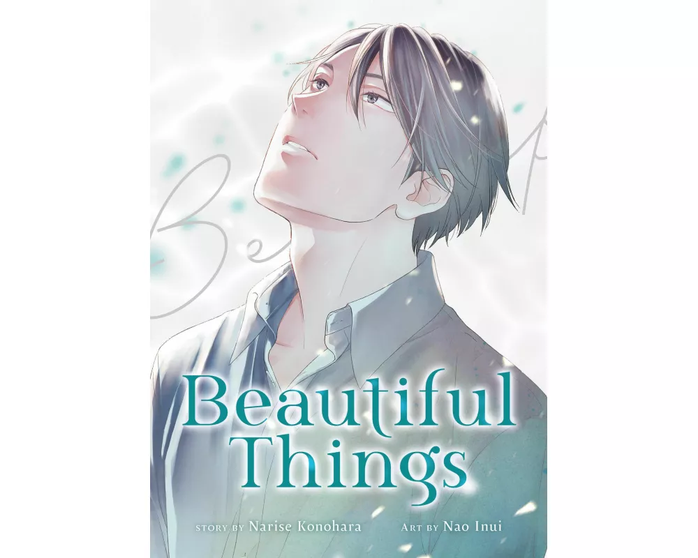Beautiful Things: The Complete Manga Collection