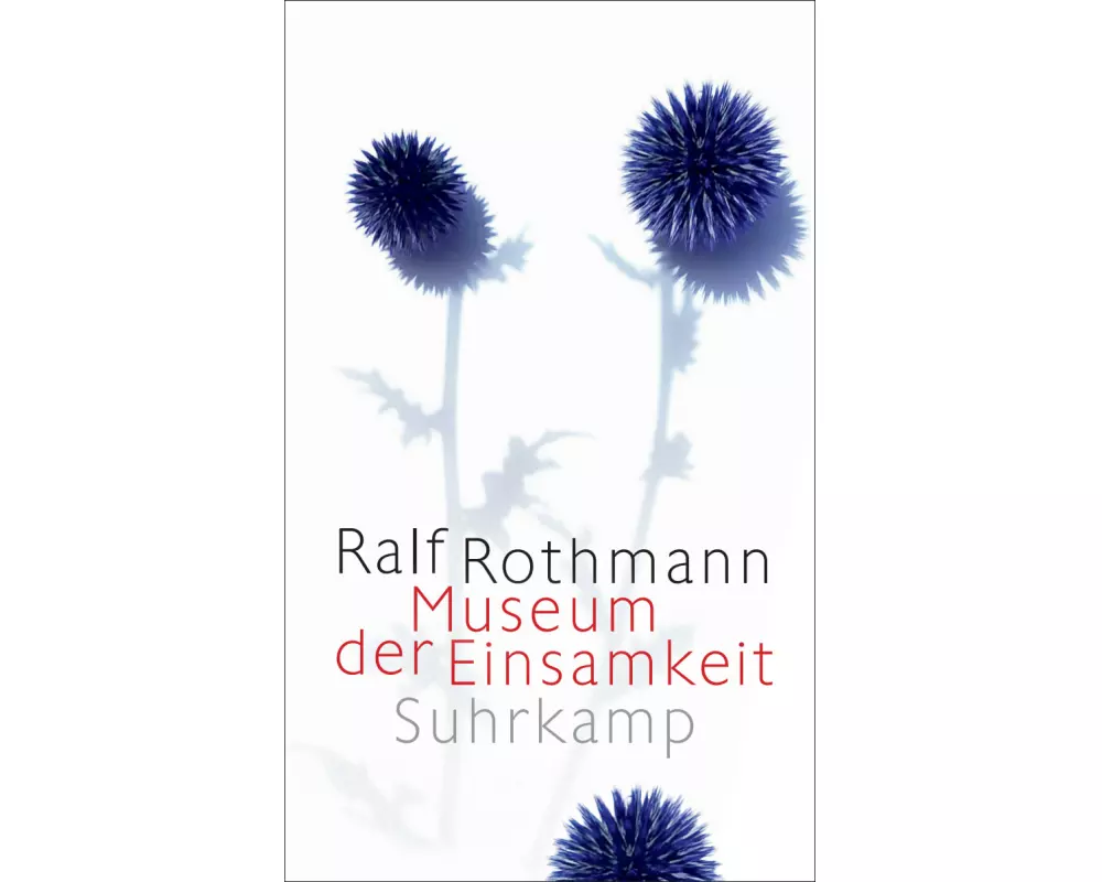Museum der Einsamkeit