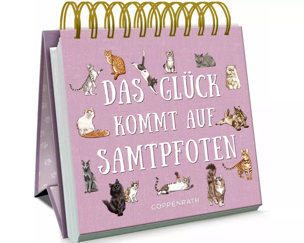 Das Glück kommt auf Samtpfoten
