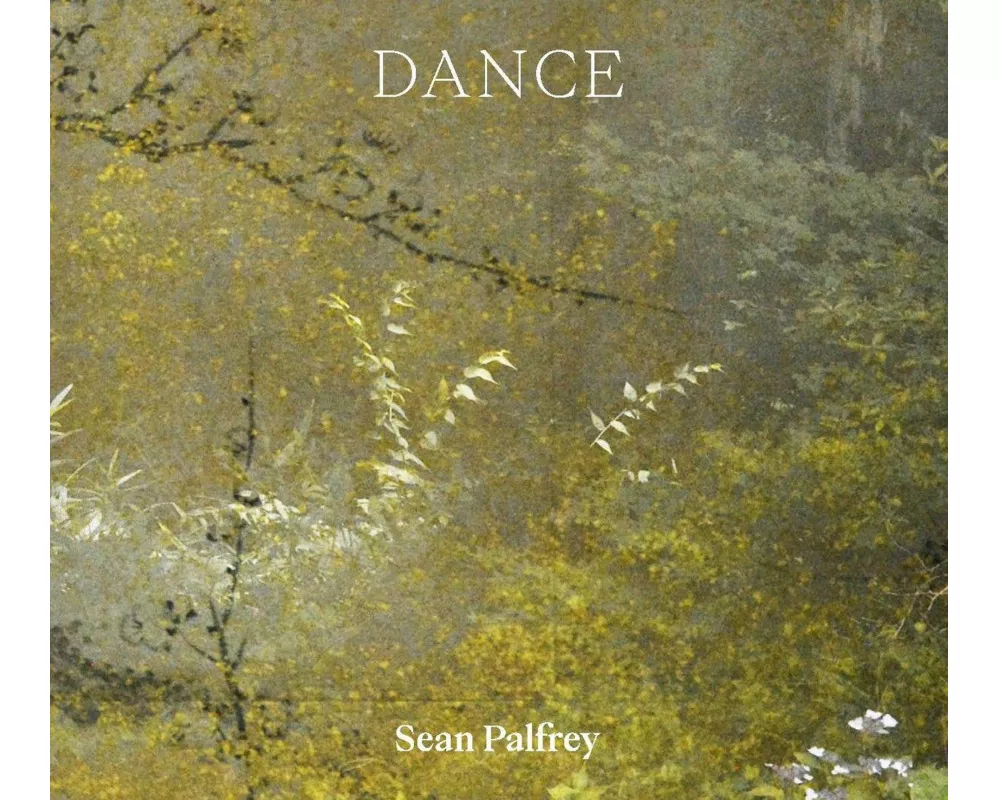 Sean Palfrey: Dance