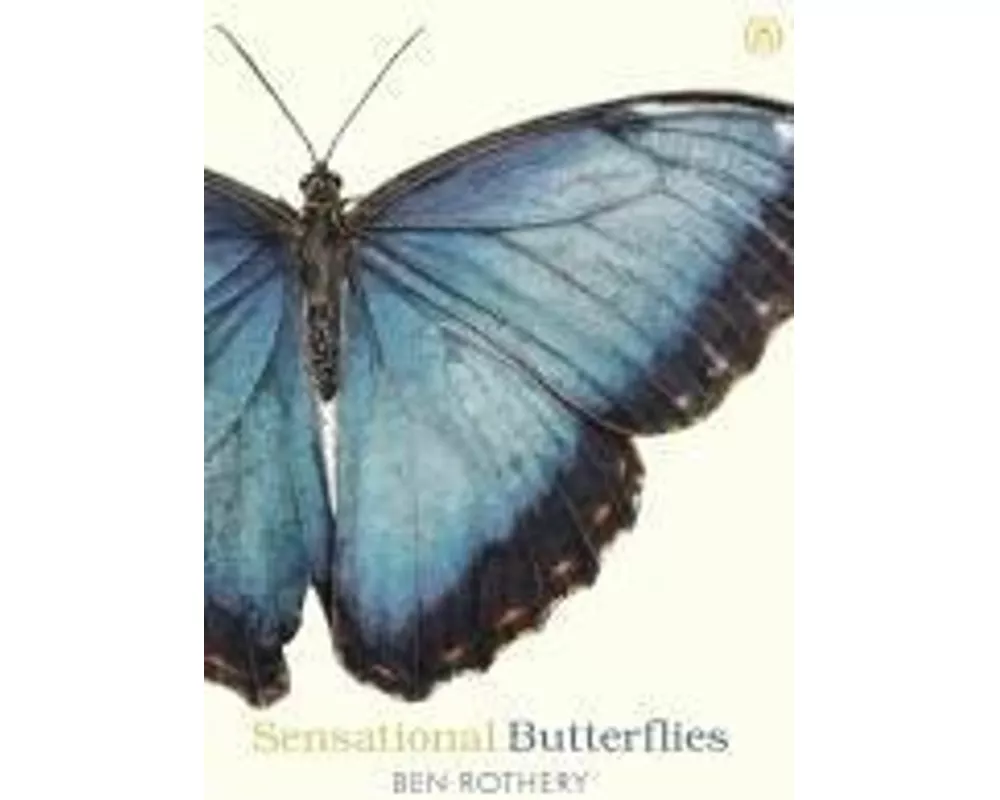 Sensational Butterflies