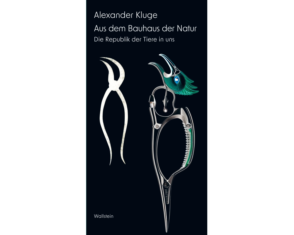 Aus dem Bauhaus der Natur