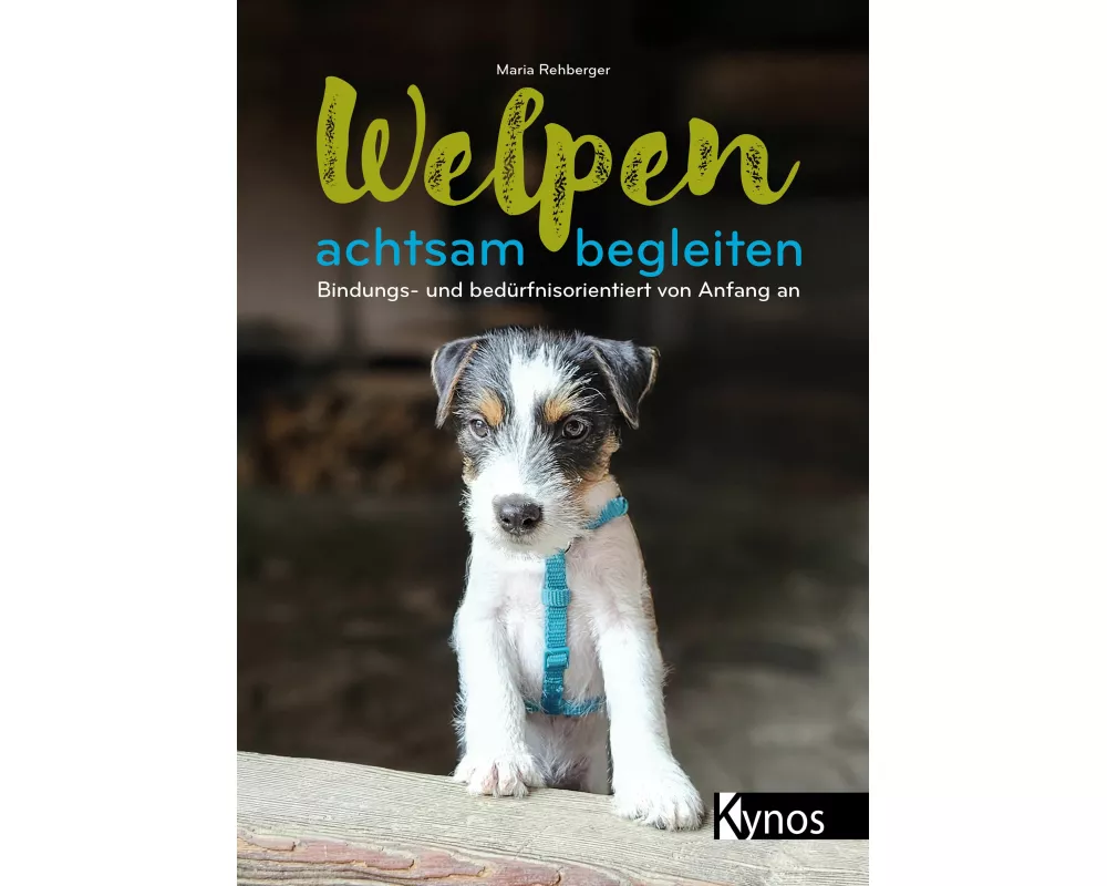 Welpen achtsam begleiten